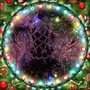 Meet your Posher, Ray